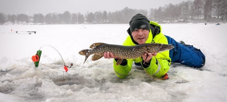 Overview of ice fishing live casino
